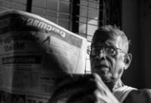 explore a variety of articles