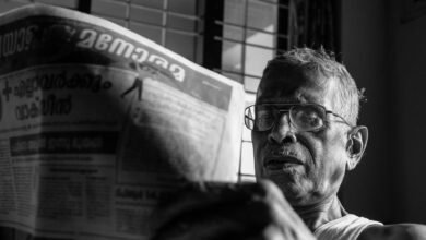 explore a variety of articles