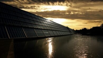 investing in lithium future